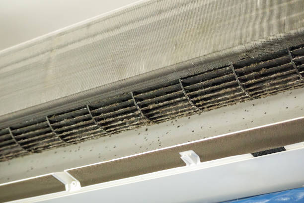 Best Ventilation Cleaning Services  in Pitola, CA